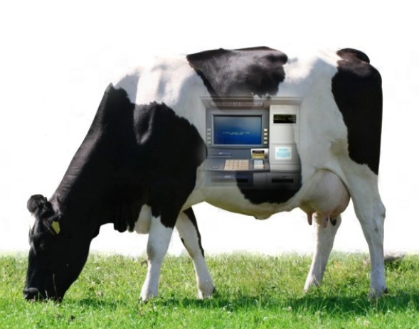 تاثیر پست بیوتیک ها (postbiotic) بر عملکرد شکمبه در گاو شیری