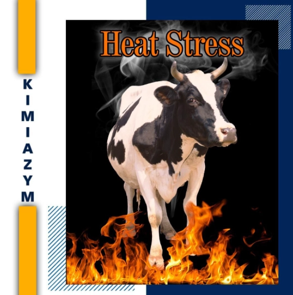 اثرات تنش گرمایی در گاوهای شیری